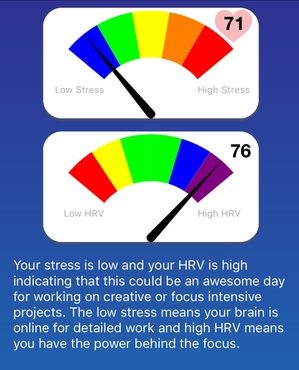 naturebeat heart rate variability tracker